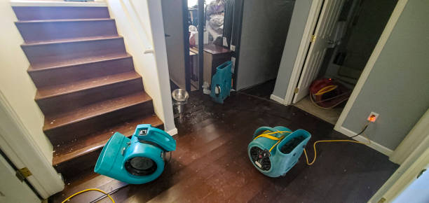 Best Professional water damage repair  in Kewaskum, WI
