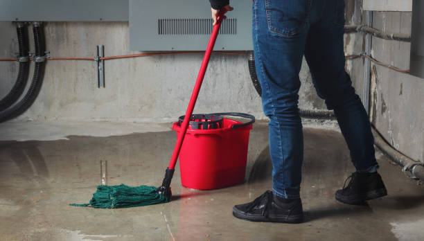 Best Local water damage restoration  in Kewaskum, WI